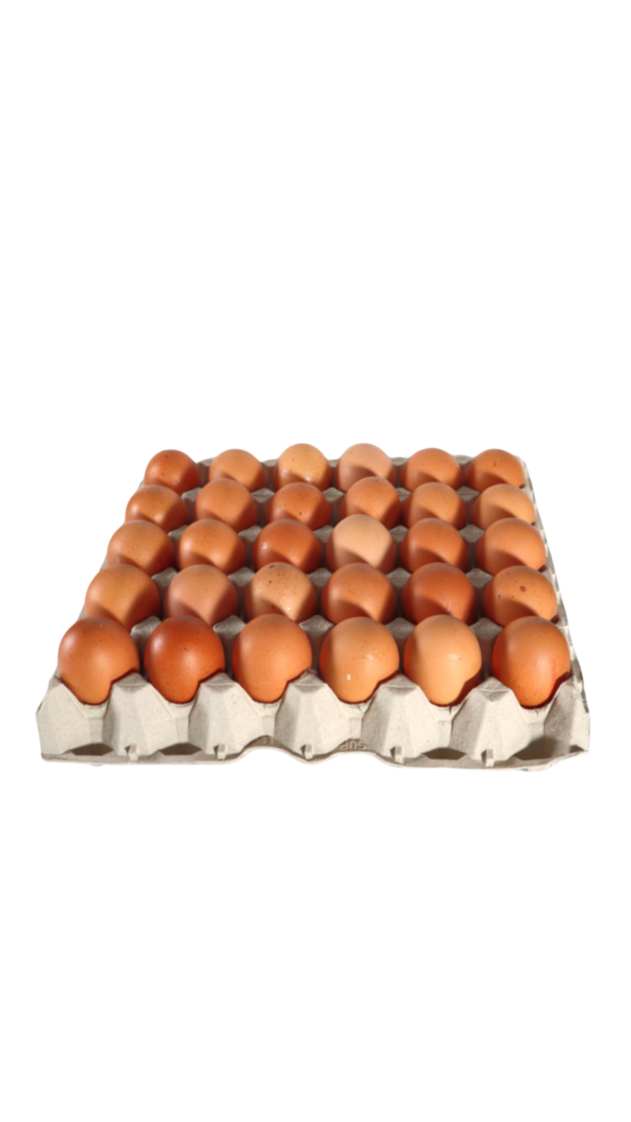 Huevos