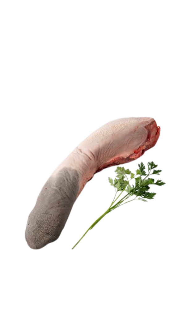 Lengua Vacuno