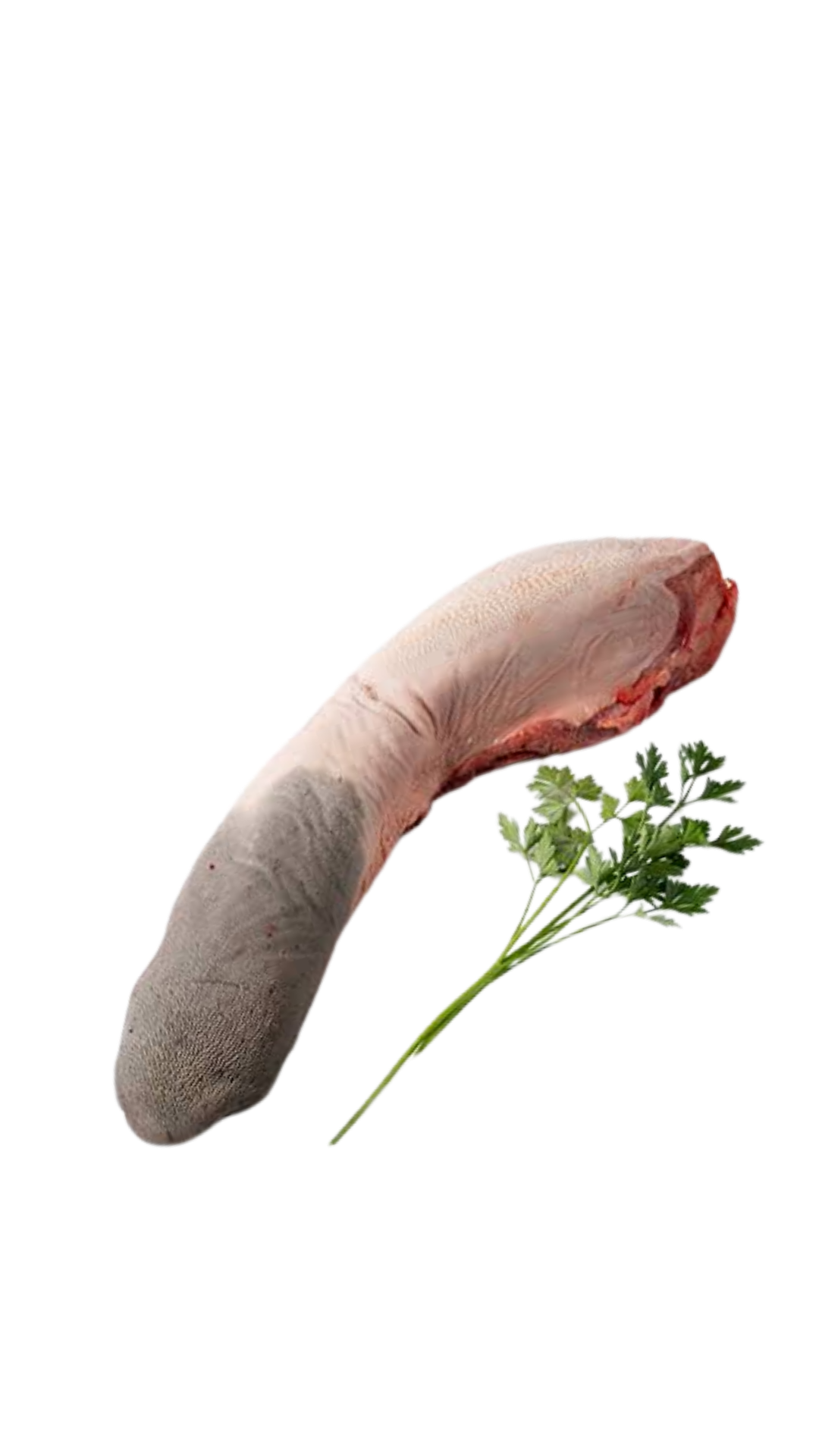 Lengua Vacuno